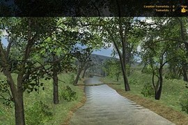 fy_woods