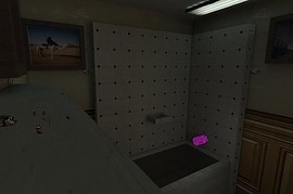 dm_bathroom