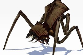 HL2 Beta Antlion Skin