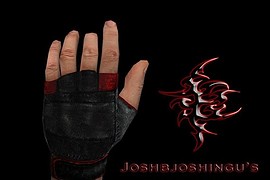 Joshbjoshingu_s_Gloves_V3