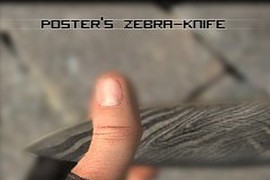 Zebra_Knife
