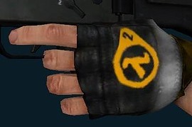 HL2_Gloves