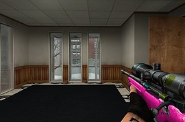 Bubblegum AWP, For the Ladies