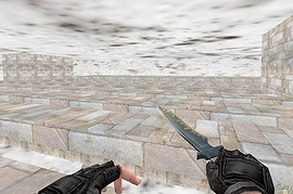 aim_iceshot