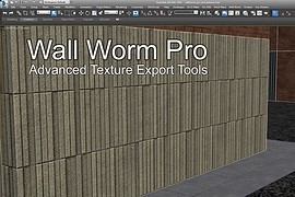 Wall Worm