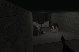 ctf_dizzydungeon_4