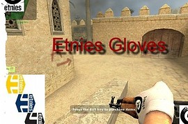 Etnies_glove