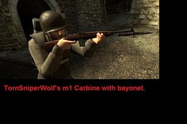 TSW_M1_Carbine_with_Bayonet