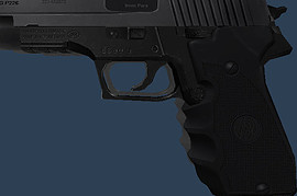 Sig Sauer P226 Custom