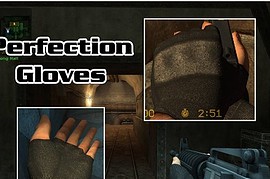 Perfection_Gloves