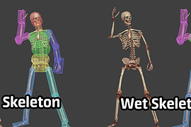 Skeletons