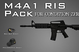M4A1 RIS Pack for CZ