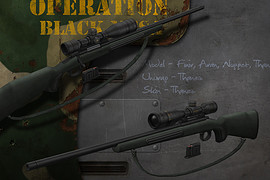 Operation Black Mesa