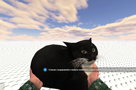 Maxwell the carryable cat — кот компаньон