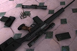 Psg-1 Animations