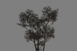 4 дерева из Left 4 Dead в одной модели