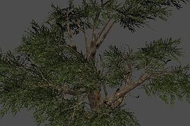 fnv_tree03