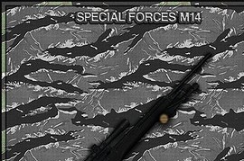 Special_Forces_M14