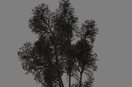 4 дерева из Left 4 Dead в одной модели