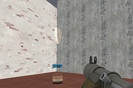 ctf_demo_alpha