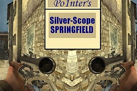 Po1nter_s_Silver-Scope_Springfield