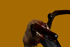 HL2 Headcrab Squeak Replace v.1.1