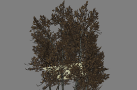 4 дерева из Left 4 Dead в одной модели