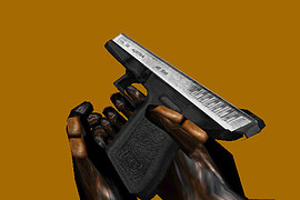 Glock 22 (2 skins)