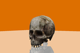 HD Half-Life Bones