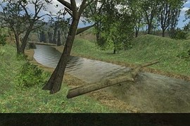 fy_woods