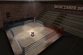 onlinegamer_boxing