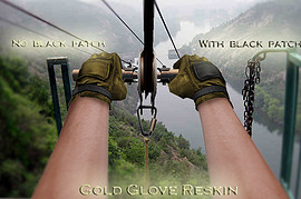 Gold Glove Reskin by RomZ