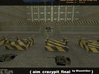 aim_crazypit_final