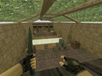 aim_headshot_fgt_cz