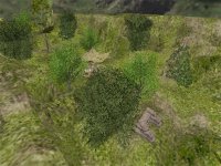 aim_wabi_csz