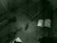 Dooleus&acute;s Parking Lot Survival