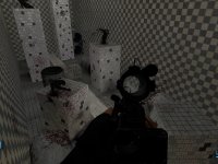 Dooleus&acute;s Tactical Training 1