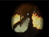 Diaries_Resurrect_Belle_Fire