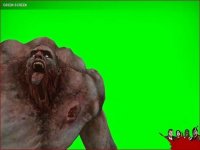 Green_Screen