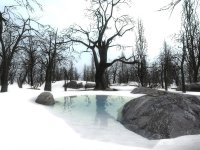 pvk_snowyglade_beta2