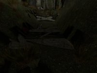 zps_trunksxworld_a8_e