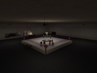 arena_TopSecretBoxingMelee