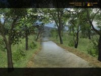 fy_woods
