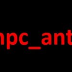 Доработаная Настройка среды npc_ant