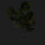 pi_tree1.mdl