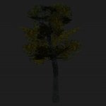 pi_tree2.mdl