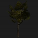 pi_tree.mdl