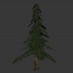 pine_tree.mdl