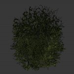 smallbush.mdl