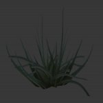 smallgrass1.mdl